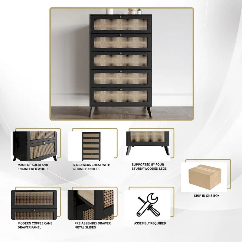 CraftPorch Mid-Century Modern Black Chest